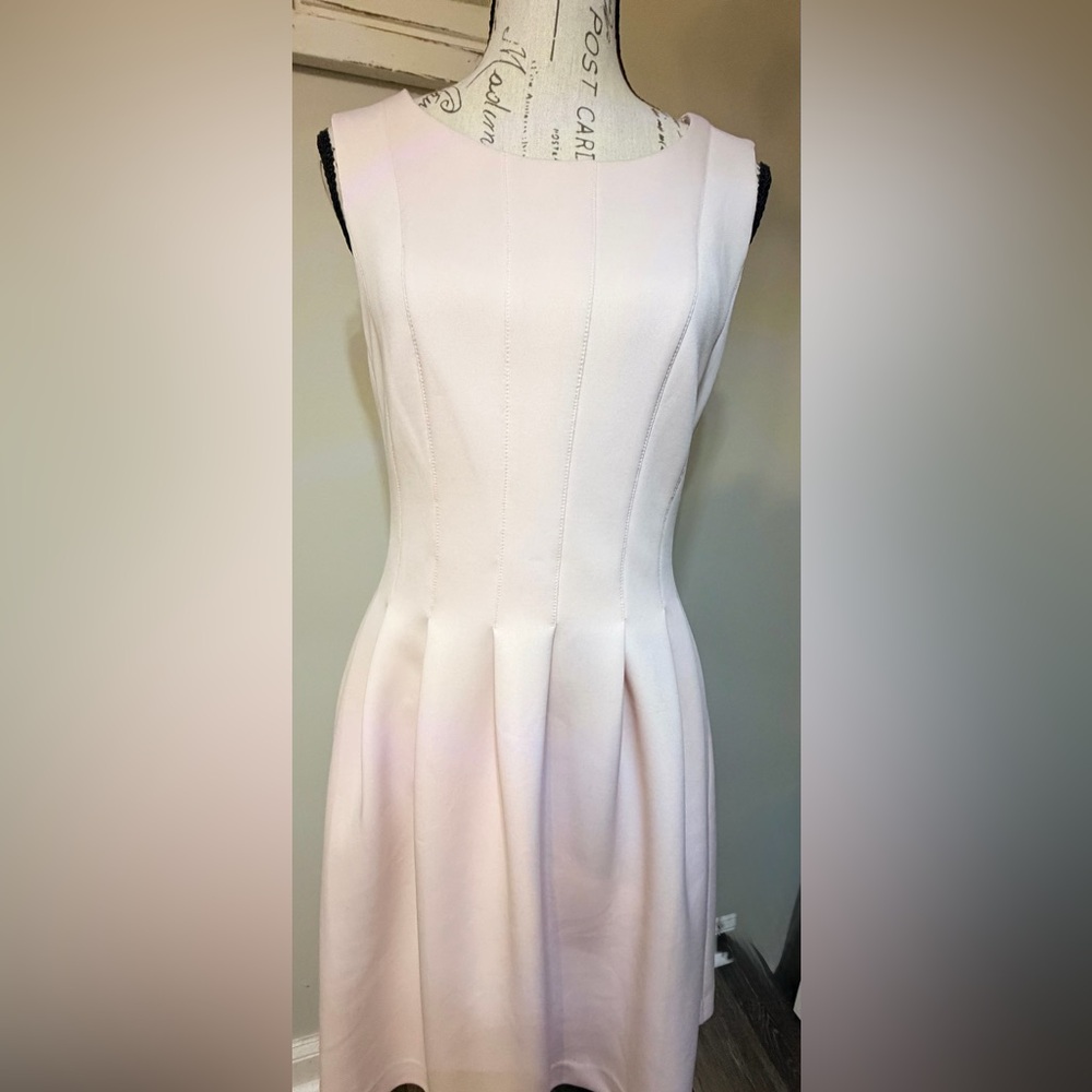 Calvin Klein Blush Midi Dress - Picture 9 of 12